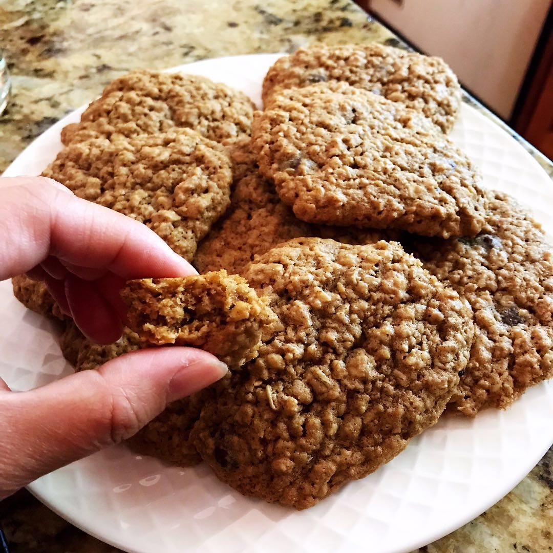 Oatmeal Chocolate Cookie