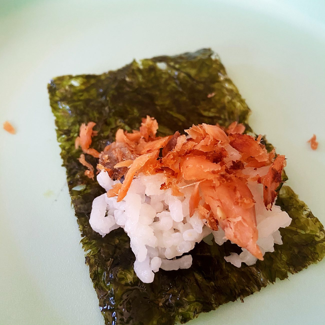 Salmon Flakes
