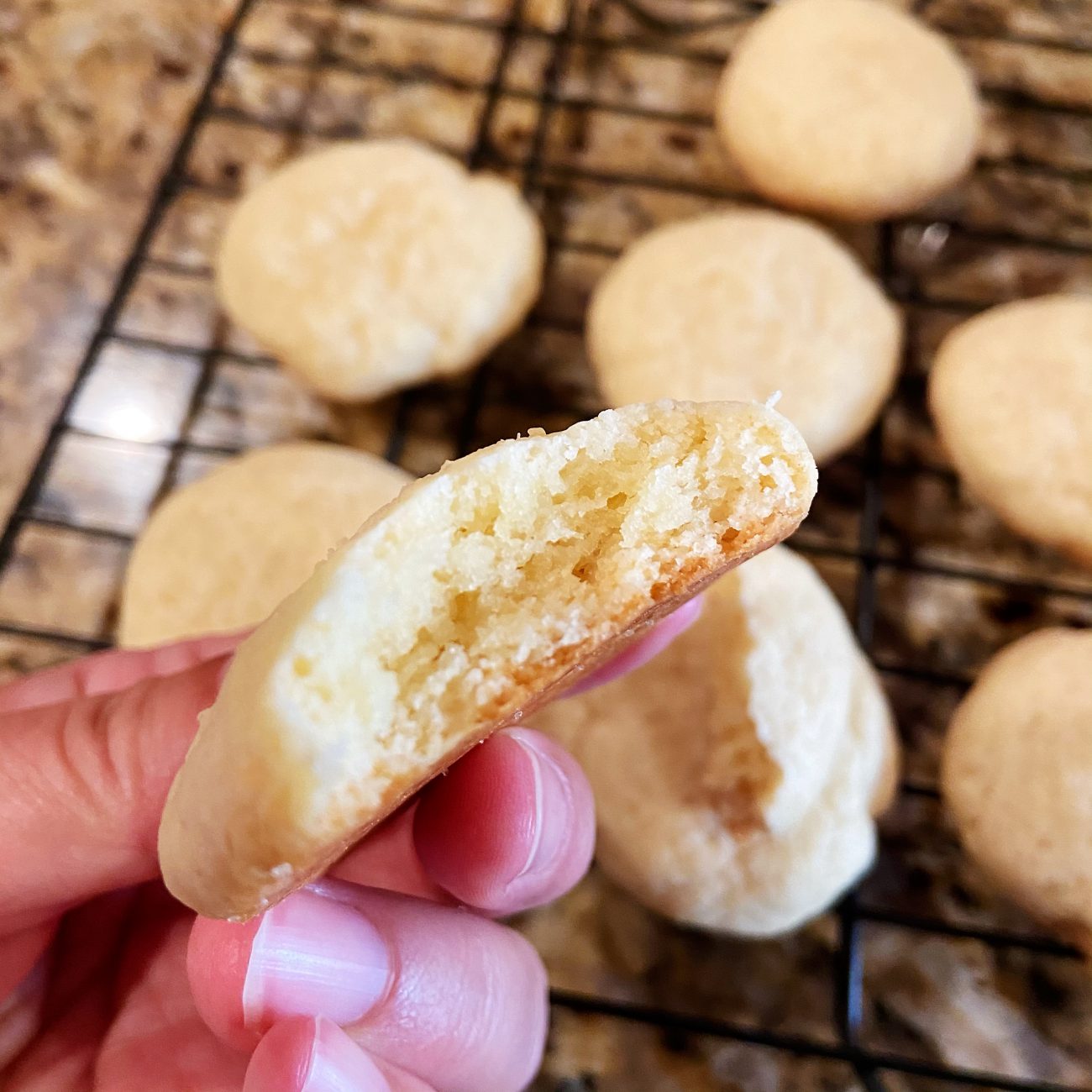 Old Fashioned Sugar Cookies