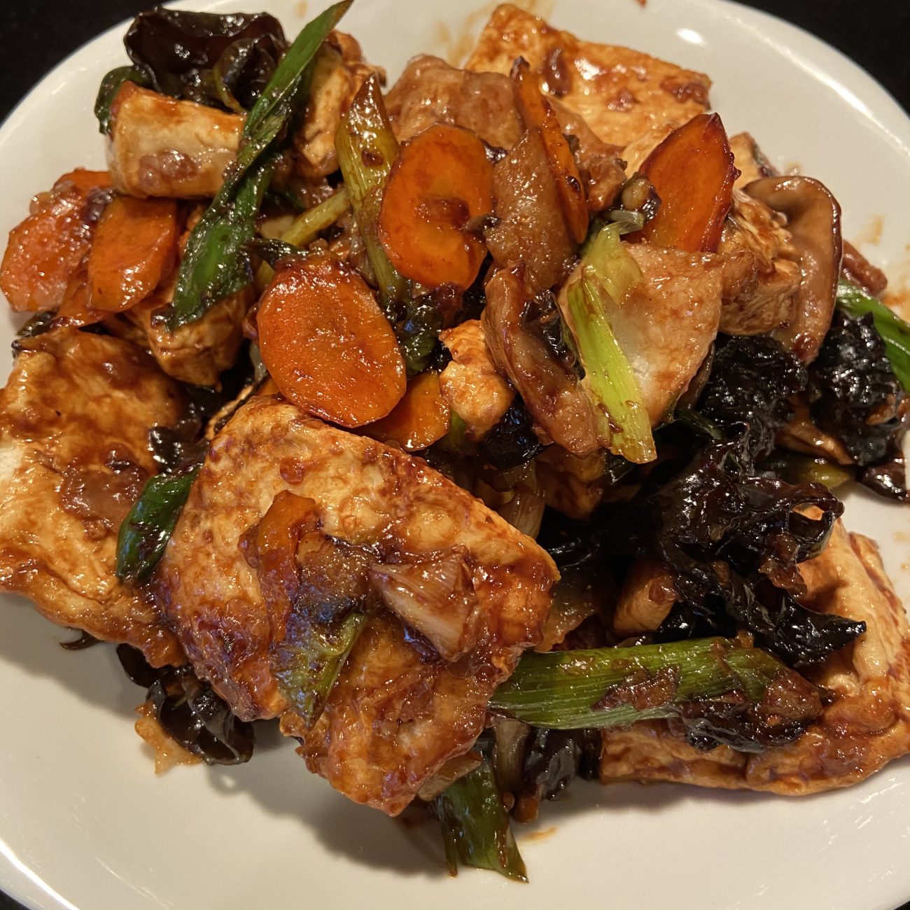 AirGO House Tofu